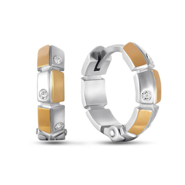 Silver Earrings with Golden Plates